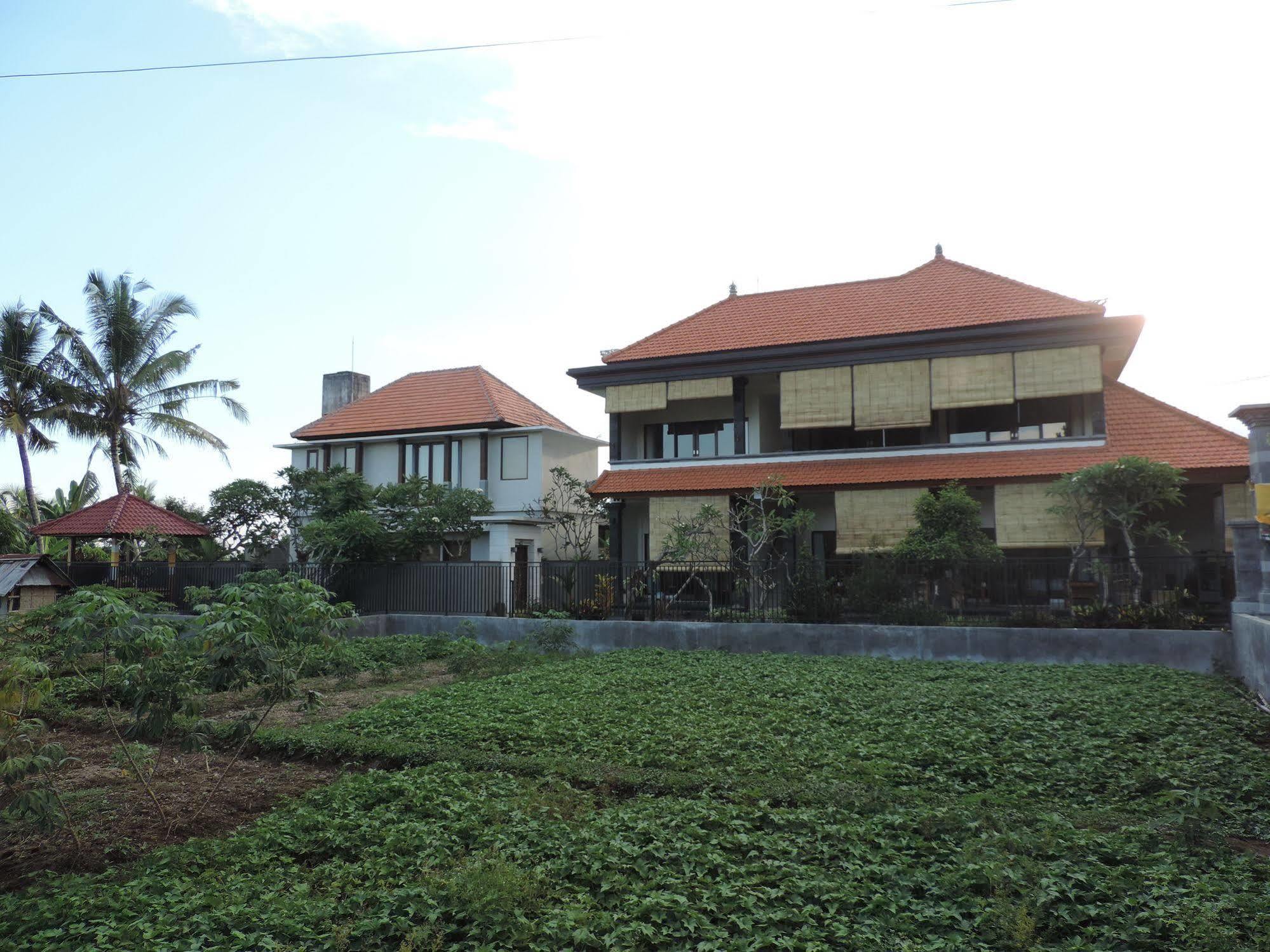 Duana'S Homestay Ubud Dış mekan fotoğraf