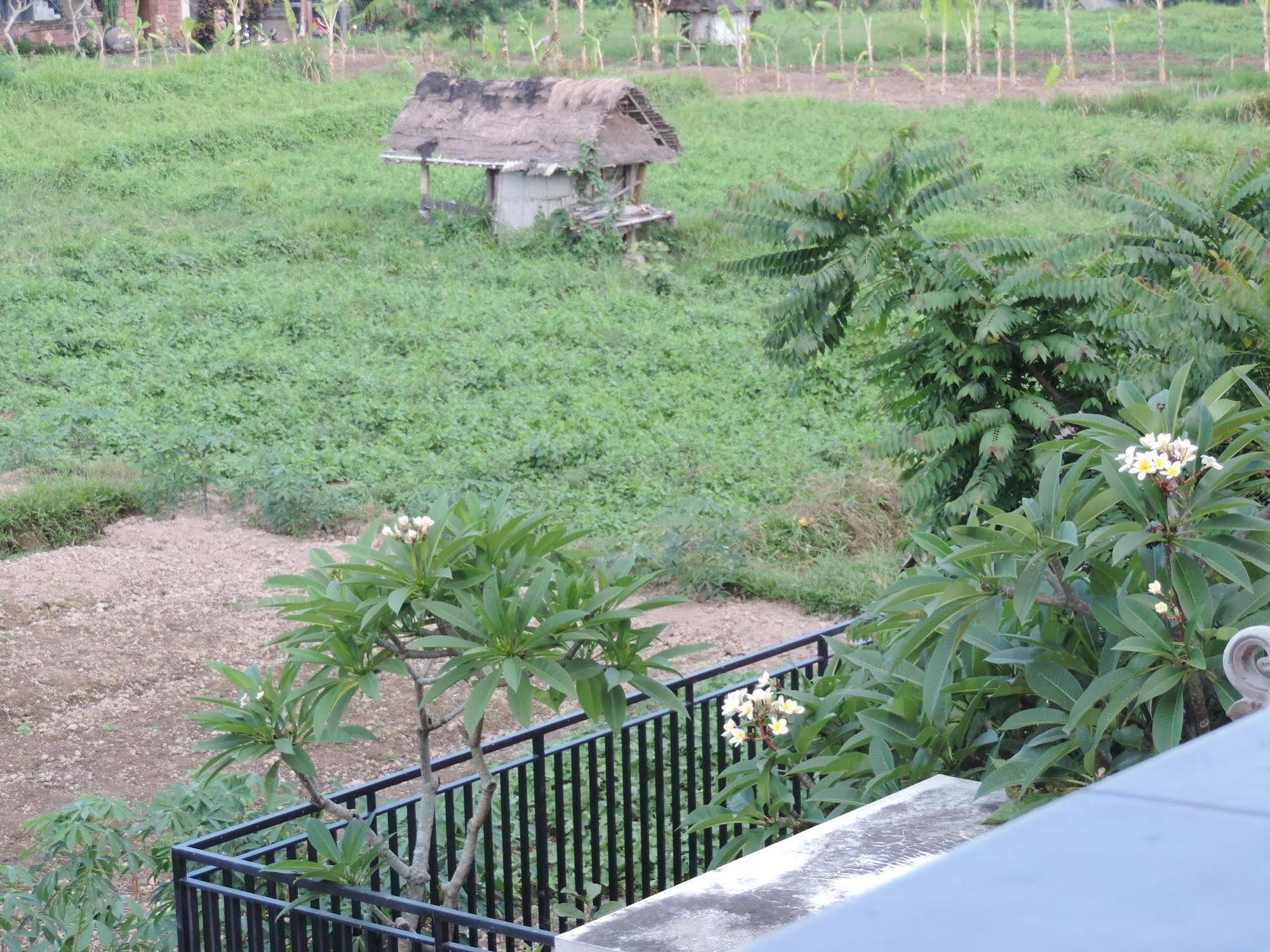 Duana'S Homestay Ubud Dış mekan fotoğraf