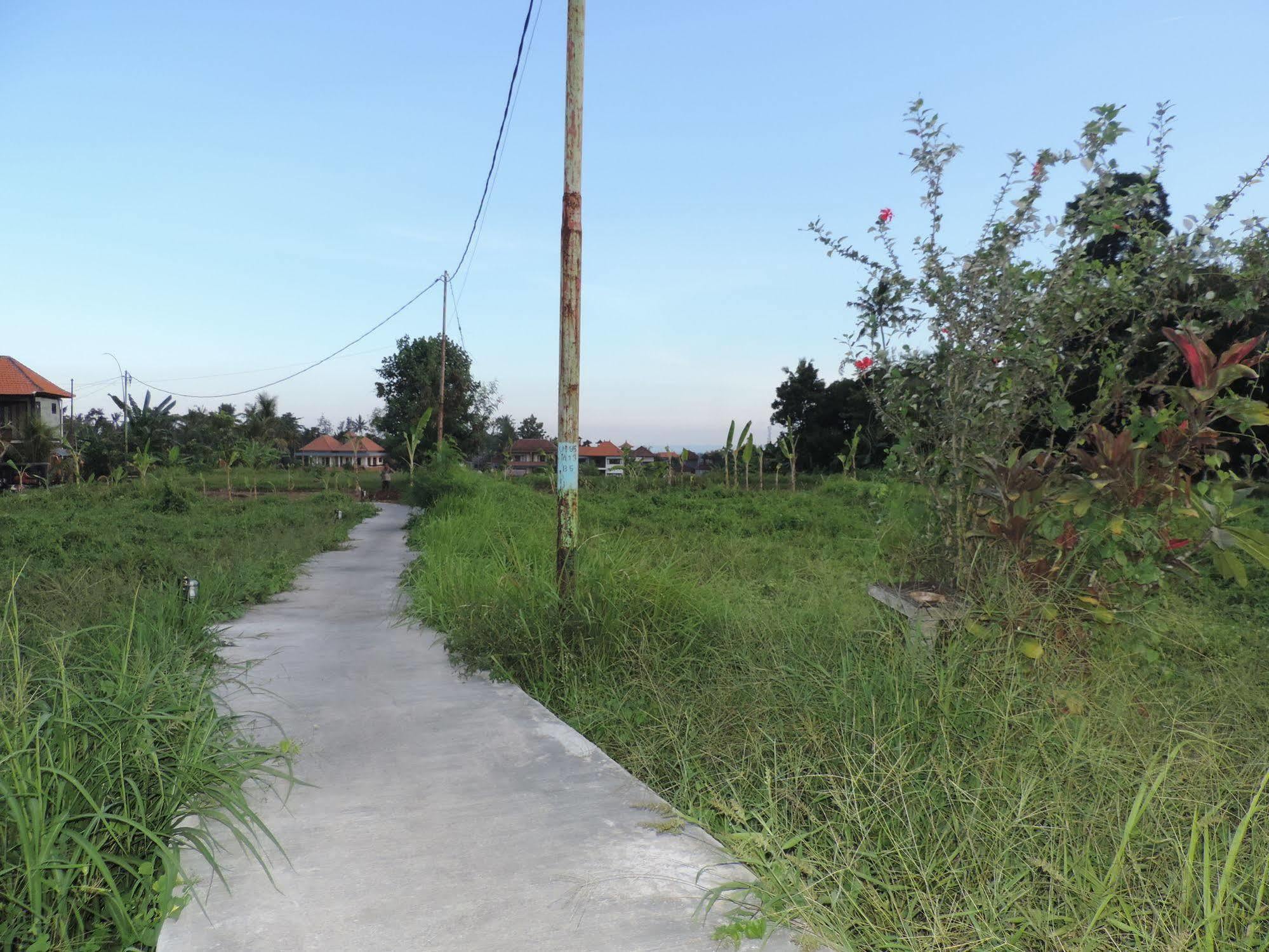 Duana'S Homestay Ubud Dış mekan fotoğraf